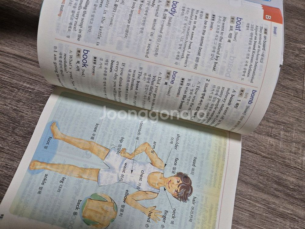 동아 연세 초등 영어사전--1