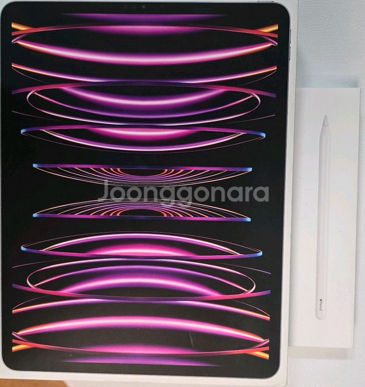 아이패드 프로 12.9 6세대 + 애플펜슬--0