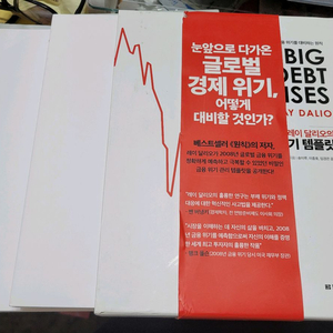 레이 달리오의 금융위기템플릿-택포 25000원