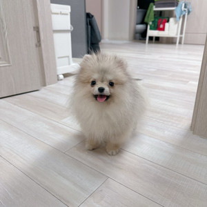 [당일 바로 드려요] 틱톡 Lite 어플 신규가입 2만