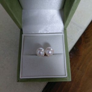 아코야 진주 귀걸이 14K 해양진주 9~9.5mm
