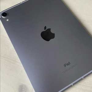 아이패드 미니5 64g 셀룰러