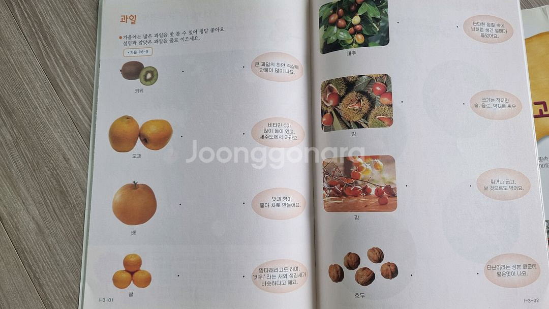 쁘레네 자연탐구생활--3