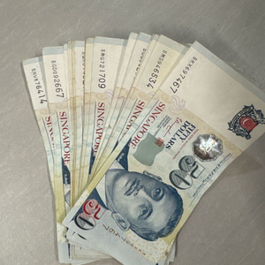 싱가포르 달러 1000달러 일괄 판매