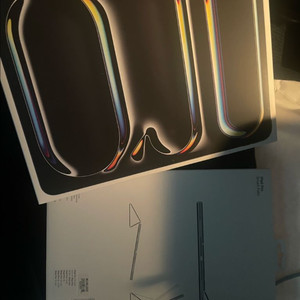 아이패드프로 13 m4 512g wifi