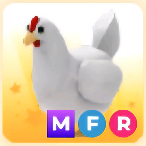 입양하세요 MFR 닭
