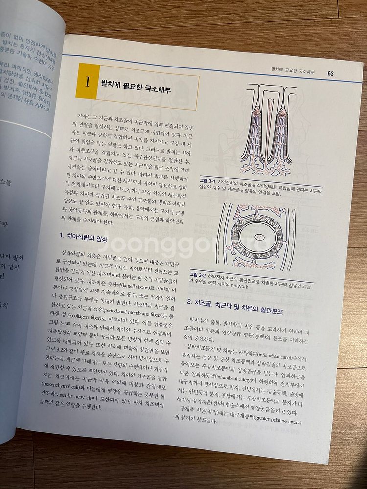치무군무원준비 구강악안면외과학--1