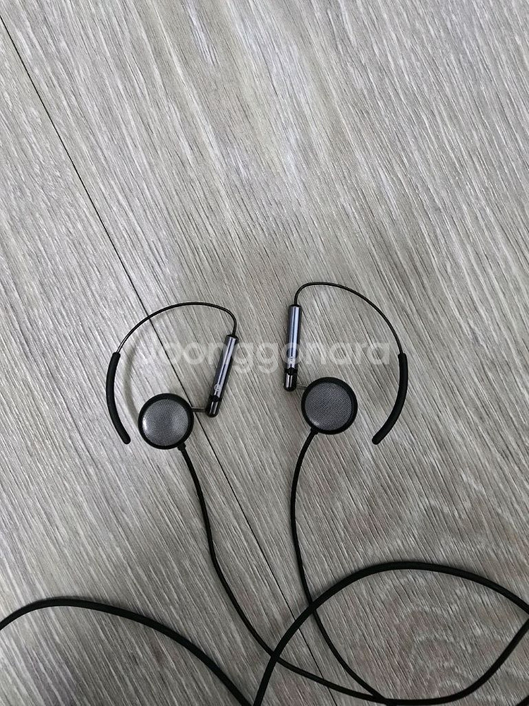 오르바나 에어 aurvana air--0