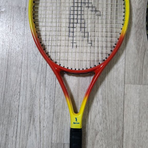 낫소 테니스 라켓외 테니스가방