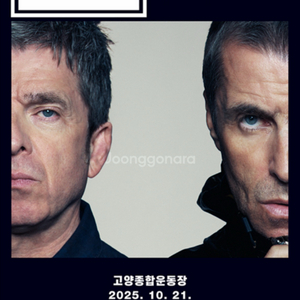 오아시스 콘서트 스탠딩 B구역 11xxx 1장 오늘만