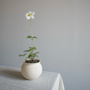 스프라우트 문팟 화분