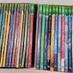 매직트리하우스 잠수네영어 챕터북