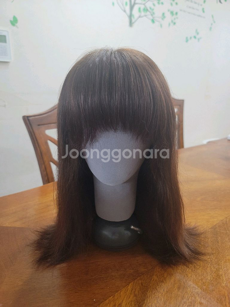 박승철 위그 항암가발 인모 긴머리 외 단발가발,수면모자--0