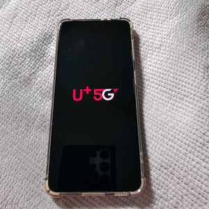 갤럭시S21 256GB SM-G991N