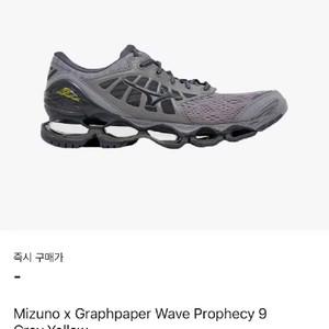 미즈노 웨이브 프로페시x그라프 런닝화