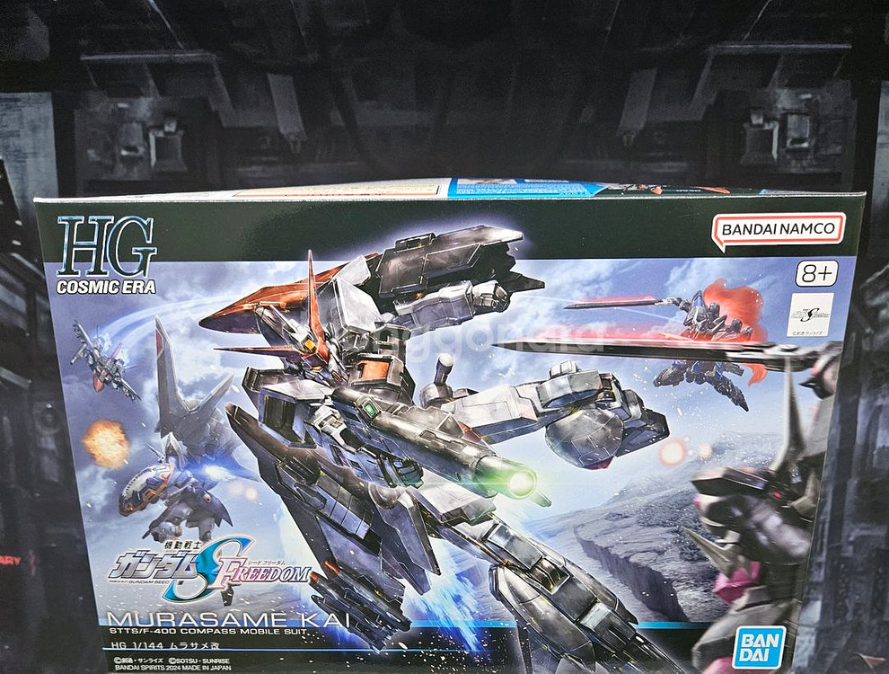 시드프리덤 HG,RG 팝니다--1