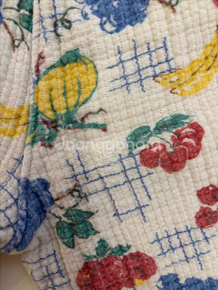 프레젠트프로젝트 과일 S 프프 고쟁이--2