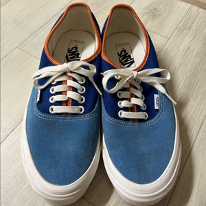 반스볼트 어센틱 트루 블루 270