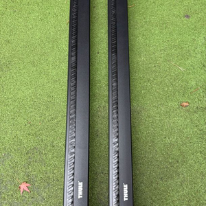 툴레 올뉴 더뉴 카니발가로바