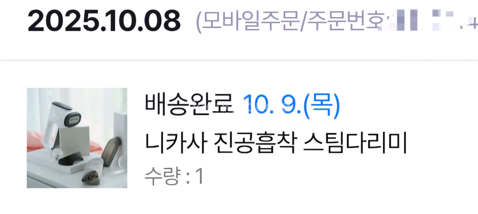 니카사 스팀다리미--1