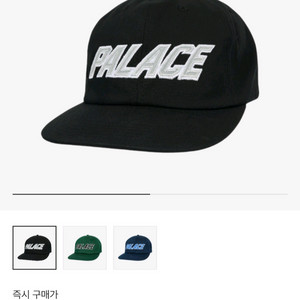 팔라스 태클 트월 폰트 팔 햇 새상품