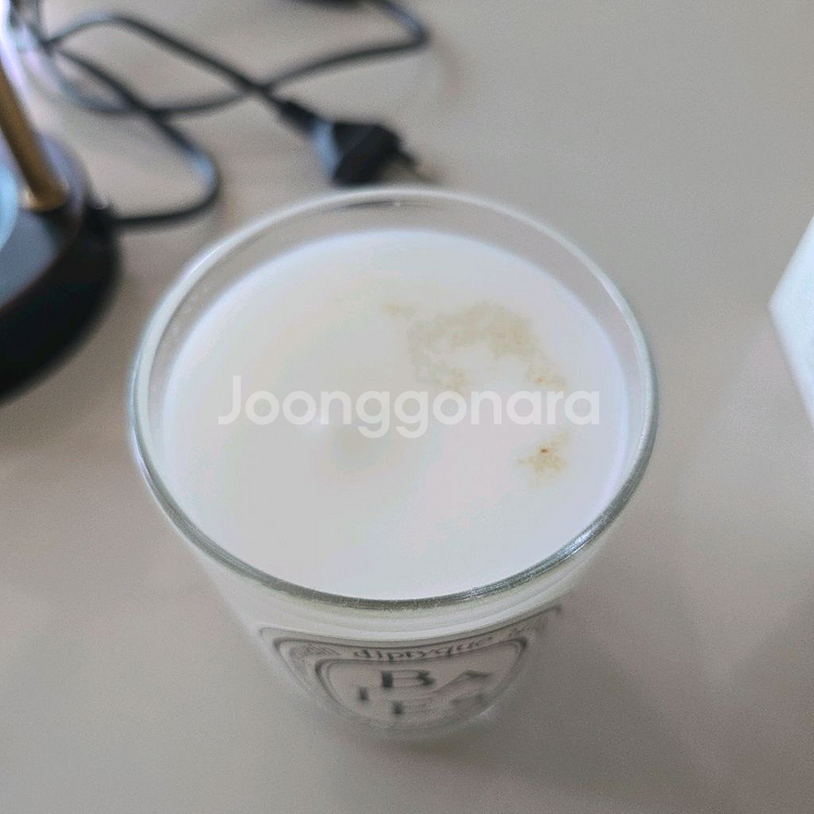 캔들 워머 스몰 사이즈 + 딥디크 베이 캔들 190g--1