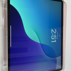 iPad Air 13 셀룰러 256GB