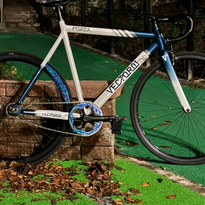 벡터포르자픽시판매급처원하는매물떠서싸게처분