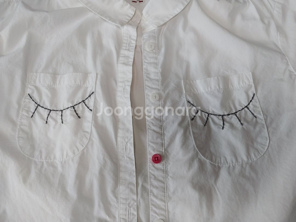 블루독 남방 145--1