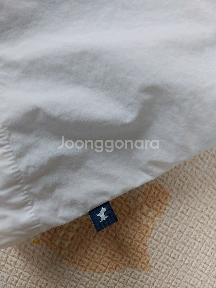 블루독 남방 145--2