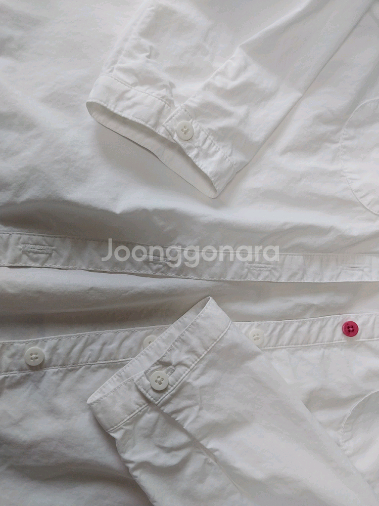 블루독 남방 145--3