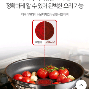 테팔 인덕션 인지니오 스텐 프라이팬 23cm