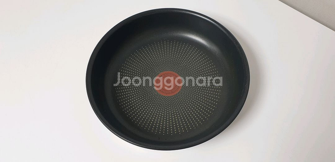 테팔 인덕션 인지니오 스텐 프라이팬 23cm--1