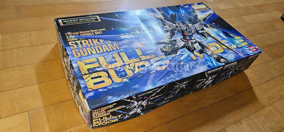 1/100 MG STRIKE FREEDOM 건담--0