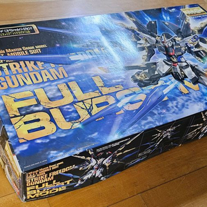 1/100 MG STRIKE FREEDOM 건담