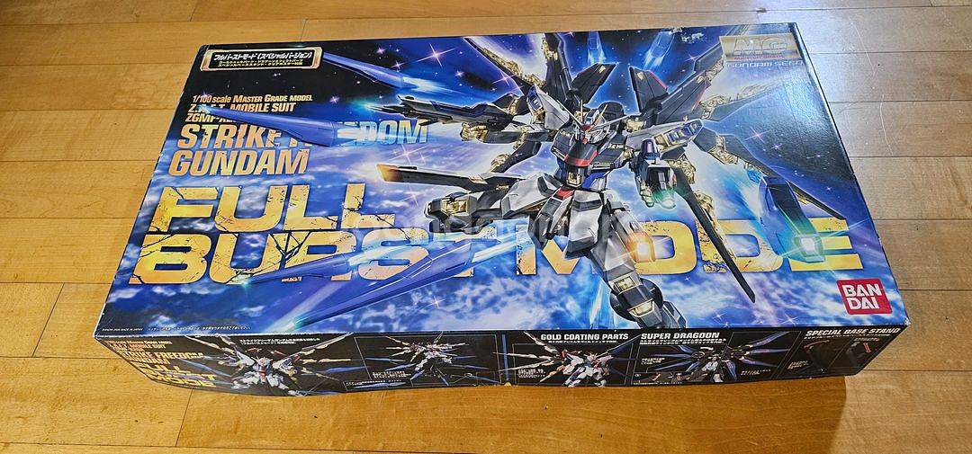 1/100 MG STRIKE FREEDOM 건담--2