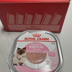 로얄캐닌 마더 앤 베이비캣 캔 8개