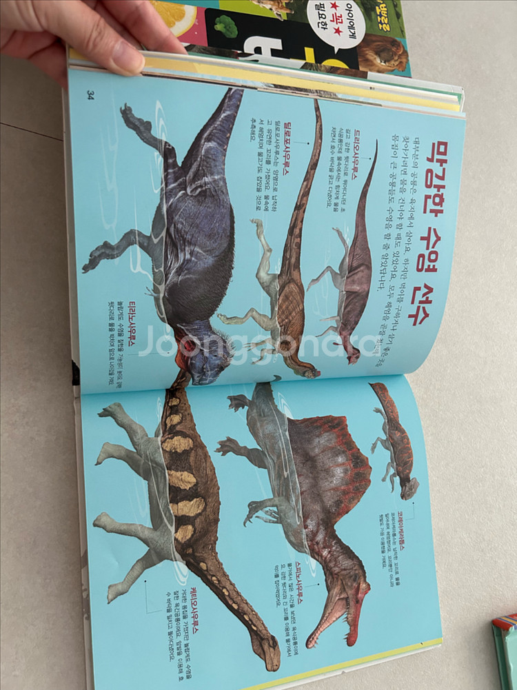 유아책 일괄(영어원서외 모두 새책)--5