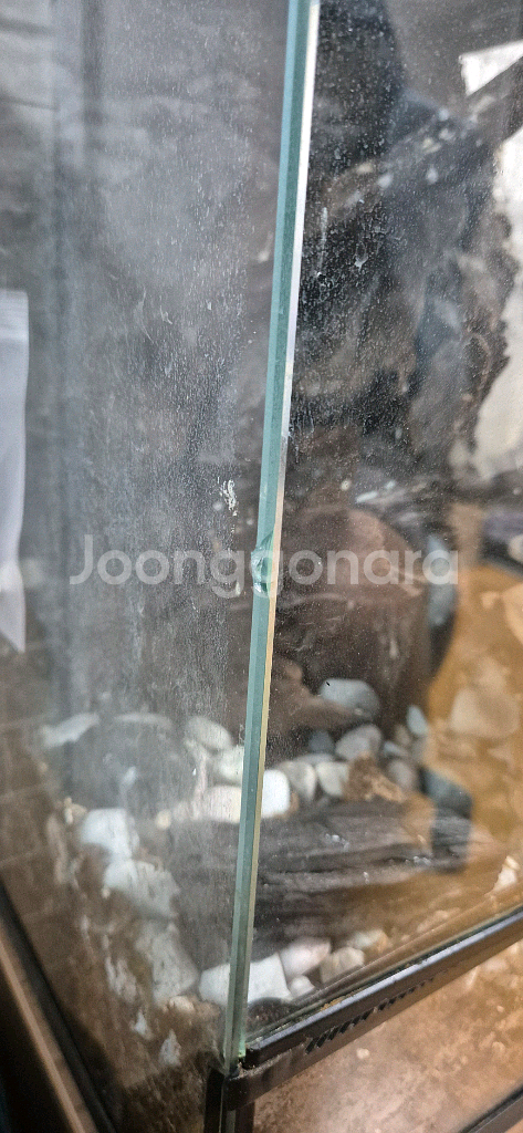 비바리움 303045판매합니다--2