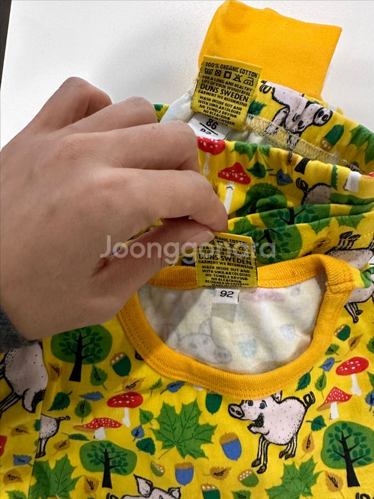 던스 가을 노란돼지 상하세트 판매(상의92, 하의86)--1