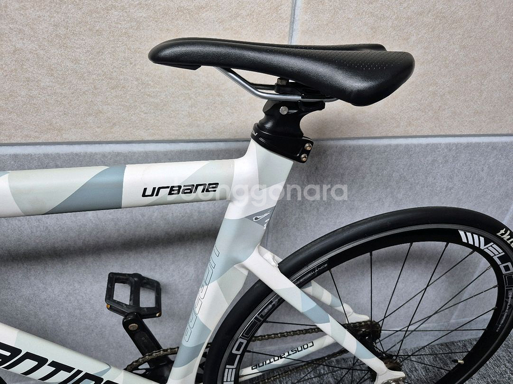 2022 콘스탄틴 어베인 패턴 픽시 자전거--9