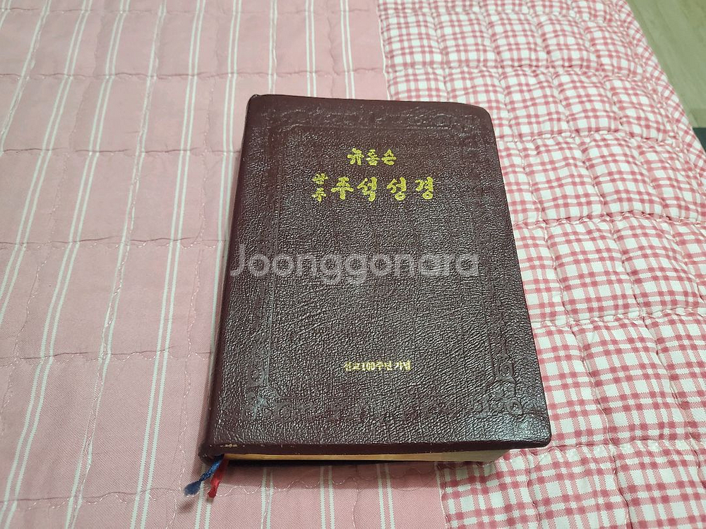 뉴톰슨 괸주 주석성경--0