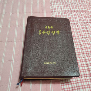 뉴톰슨 괸주 주석성경