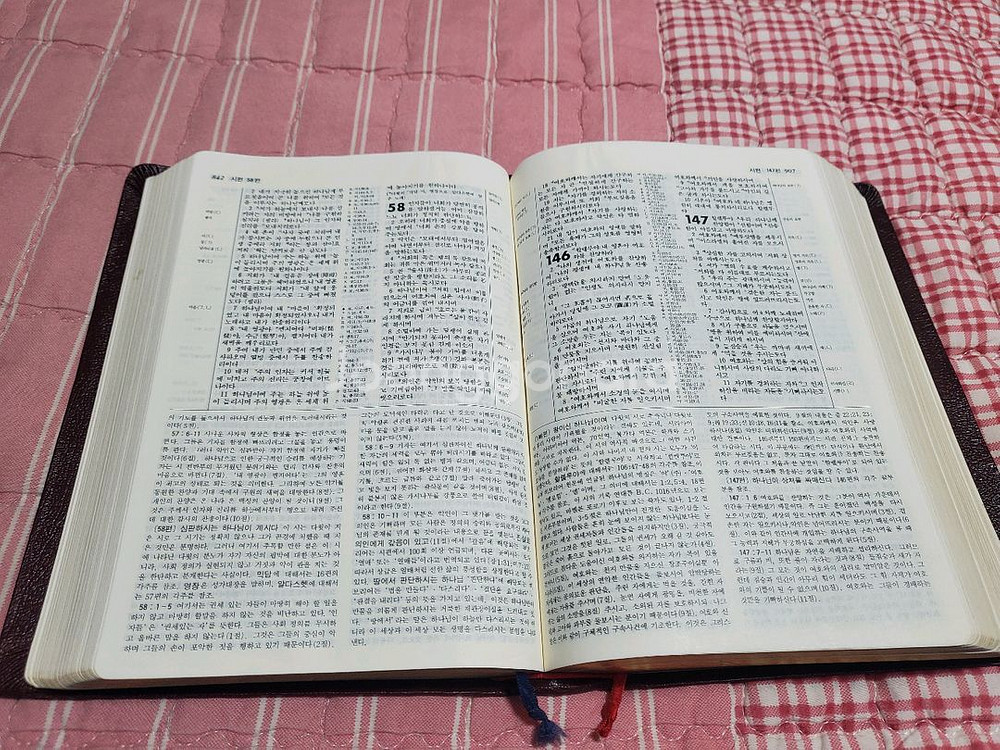 뉴톰슨 괸주 주석성경--3