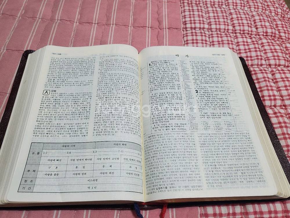 뉴톰슨 괸주 주석성경--2
