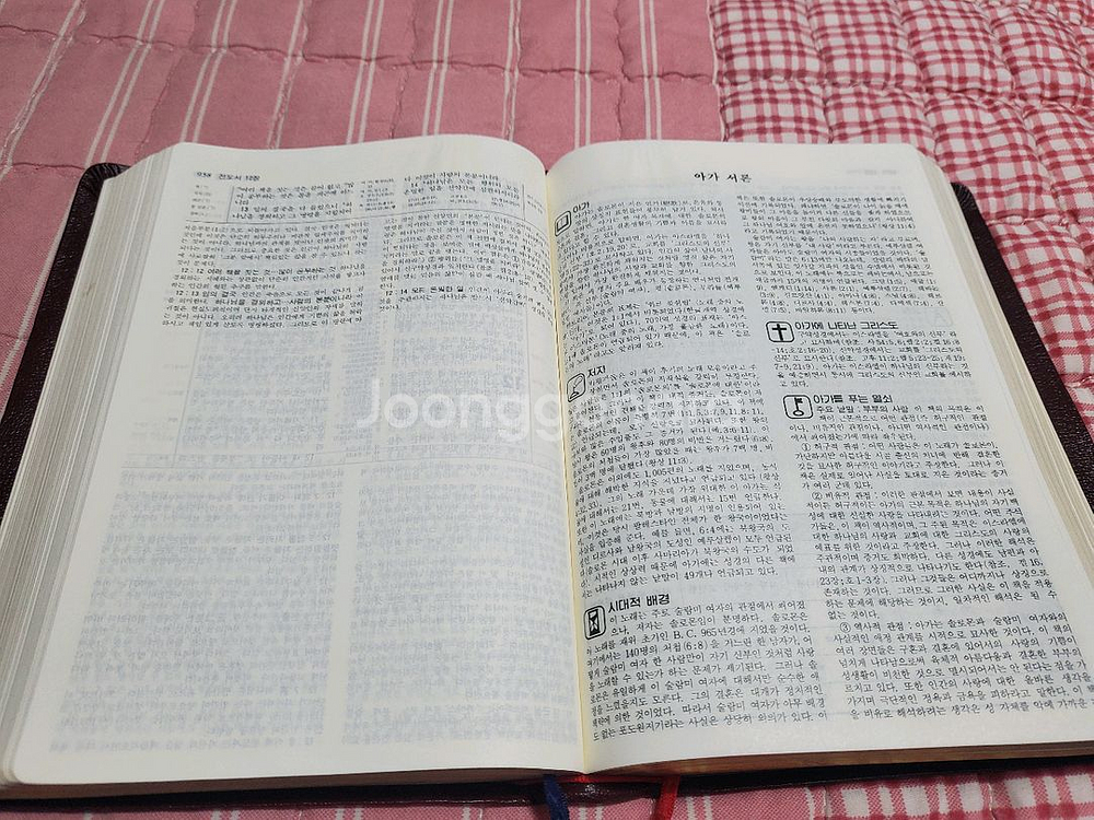 뉴톰슨 괸주 주석성경--1