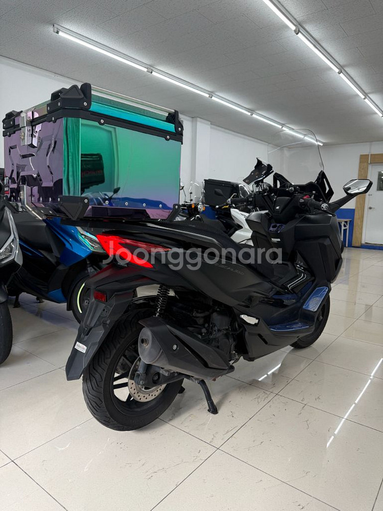 24년식 포르자350 배달세팅 초급매--3