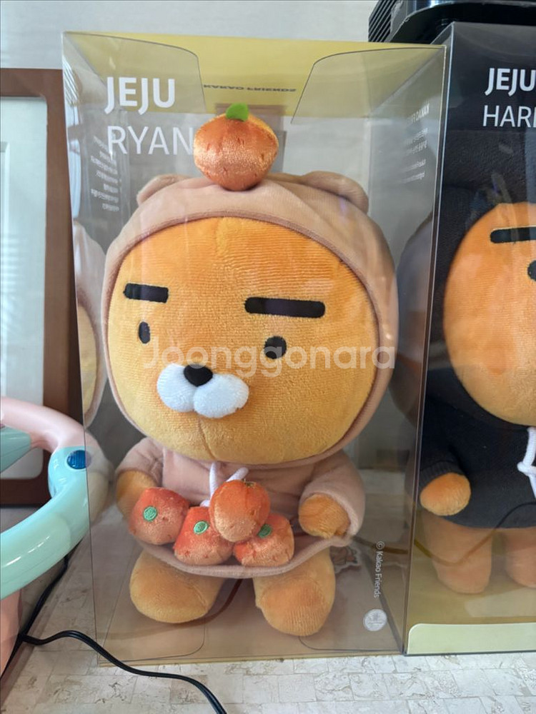 라이언 제주 전주 하트 인형들--0