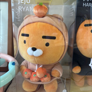 라이언 제주 전주 하트 인형들