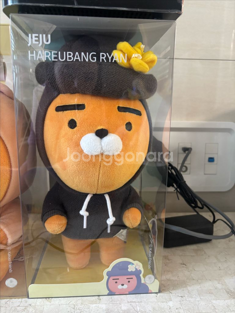 라이언 제주 인형--0